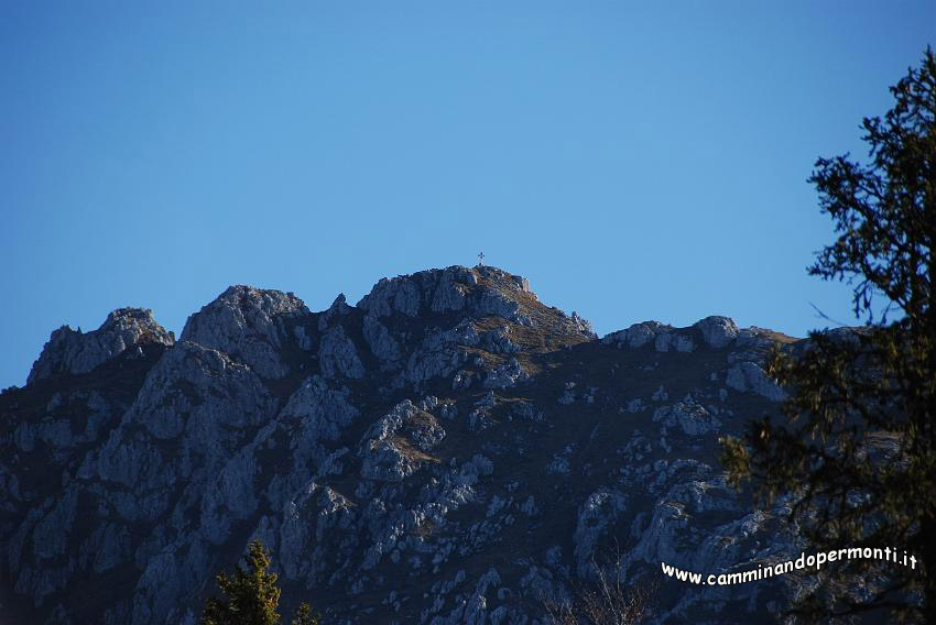 09 13028 Monte Alben.jpg